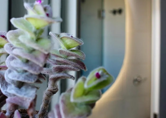 Сasa de vacaciones Almyra *